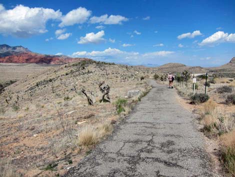 Overlook Trail