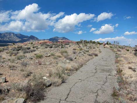 Overlook Trail