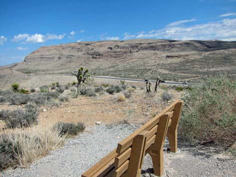 Overlook Trail