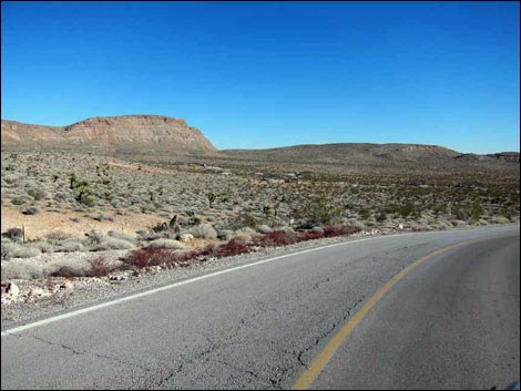 Red Rock Campground