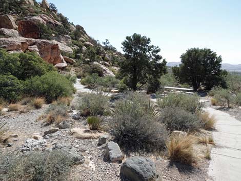 Willow Spring Picnic Area