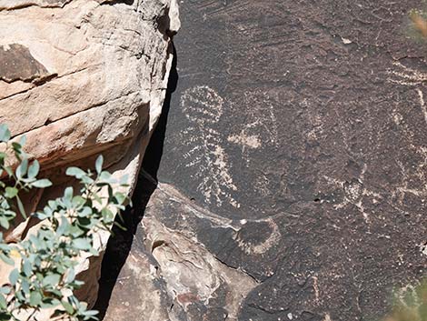 Petroglyph Wall Trail