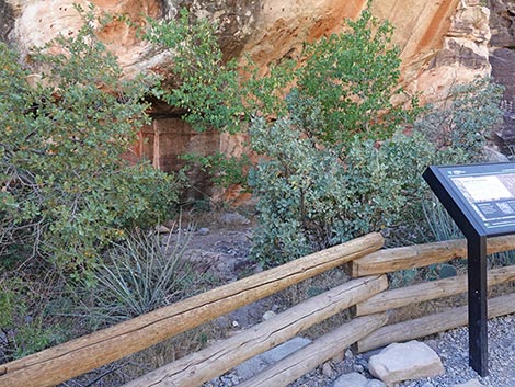 Petroglyph Wall Trail