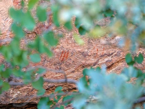 Petroglyph Wall Trail
