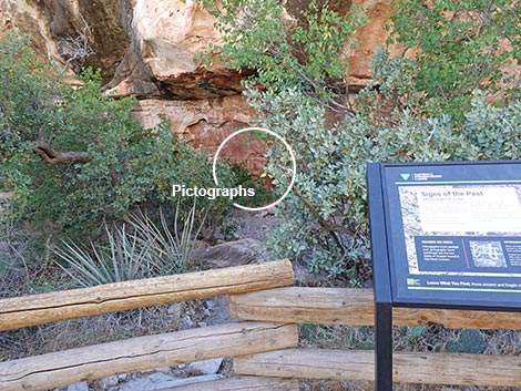 Petroglyph Wall Trail