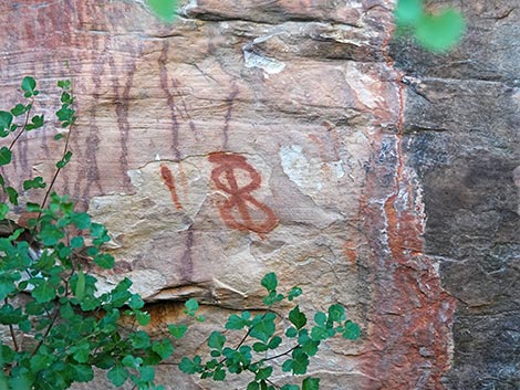 Petroglyph Wall Trail