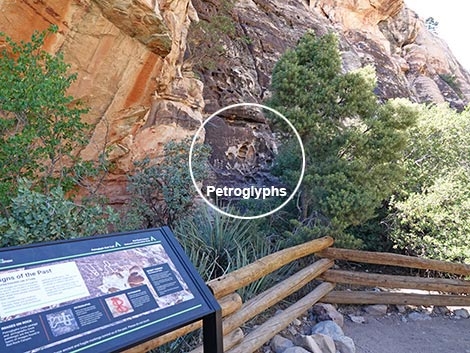 Petroglyph Wall Trail