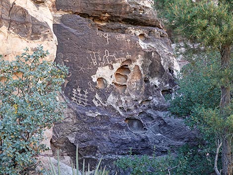 Petroglyph Wall Trail