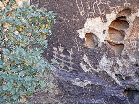 Petroglyph Wall Trail