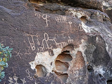 Petroglyph Wall Trail