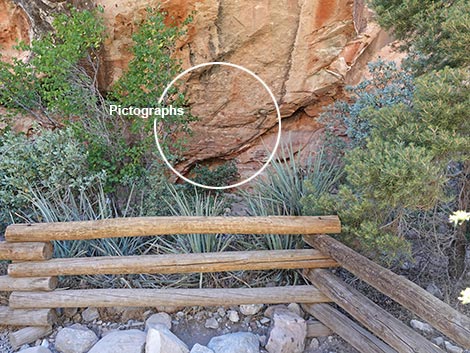 Petroglyph Wall Trail