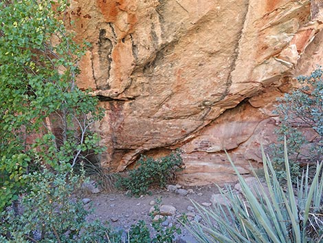 Petroglyph Wall Trail