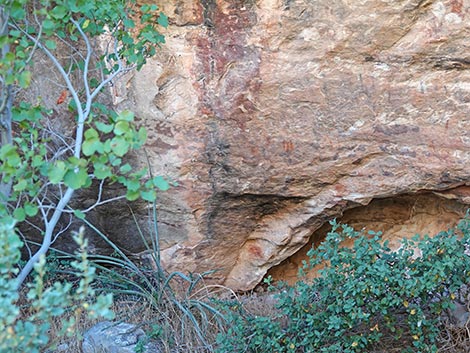 Petroglyph Wall Trail