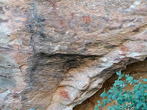 Petroglyph Wall Trail