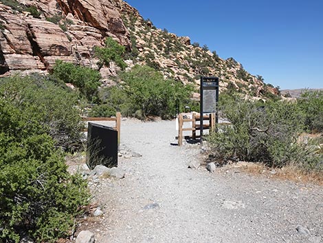 Petroglyph Wall Trail