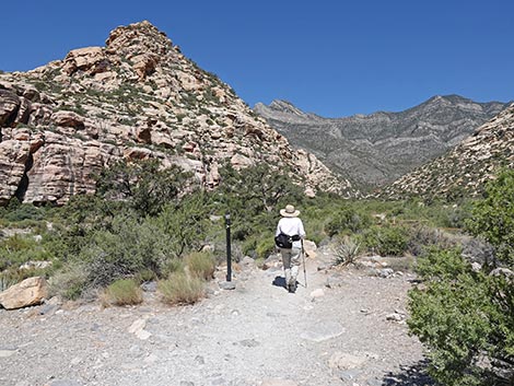 Petroglyph Wall Trail
