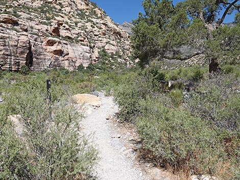 Petroglyph Wall Trail