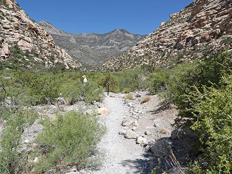 Petroglyph Wall Trail