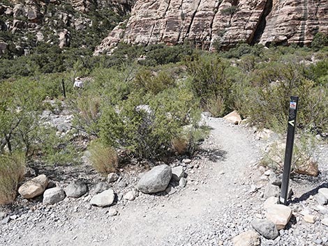 Petroglyph Wall Trail