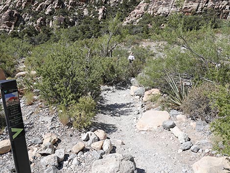 Petroglyph Wall Trail