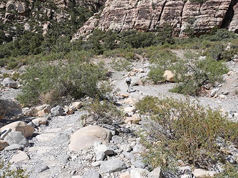 Petroglyph Wall Trail