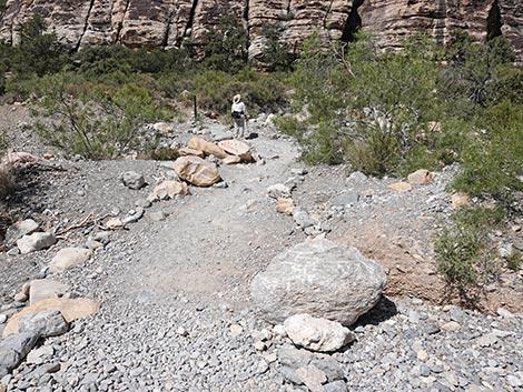 Petroglyph Wall Trail