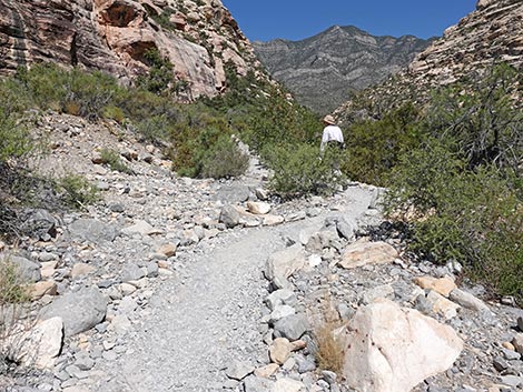 Petroglyph Wall Trail