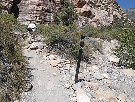 Petroglyph Wall Trail