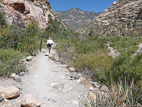 Petroglyph Wall Trail