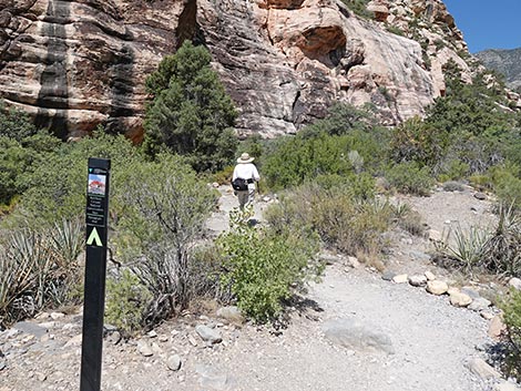 Petroglyph Wall Trail