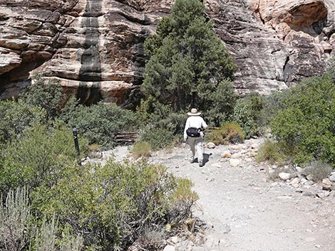 Petroglyph Wall Trail