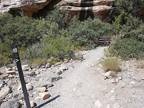 Petroglyph Wall Trail