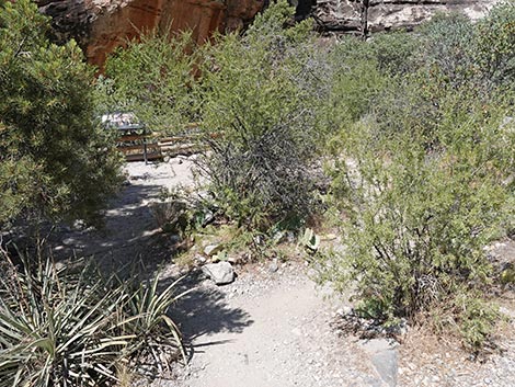 Petroglyph Wall Trail