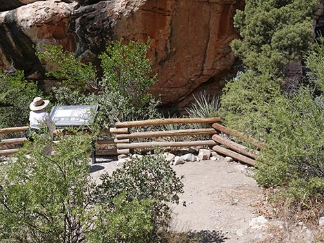 Petroglyph Wall Trail