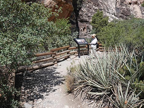 Petroglyph Wall Trail