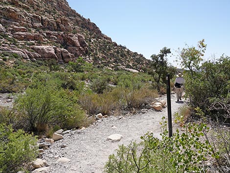 Petroglyph Wall Trail