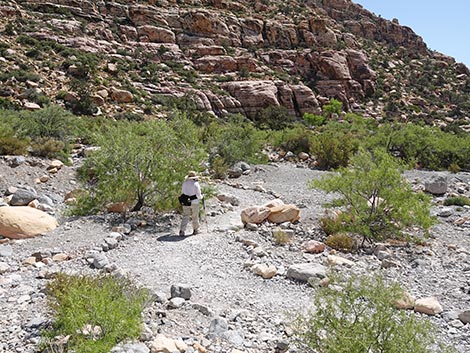 Petroglyph Wall Trail