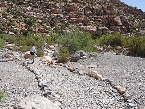 Petroglyph Wall Trail