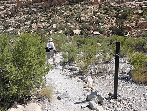 Petroglyph Wall Trail