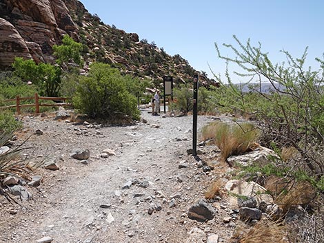 Petroglyph Wall Trail
