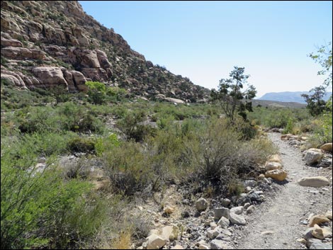 Petroglyph Wall Trail