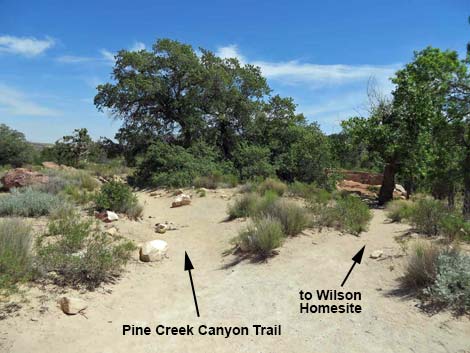 Pine Creek Canyon Trail