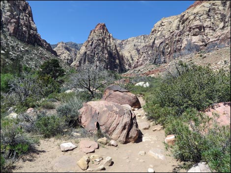 Pine Creek Trail