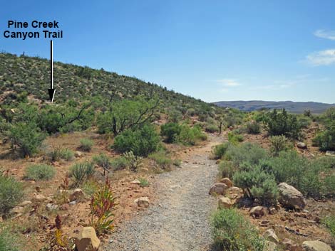 Pine Creek Canyon Trail