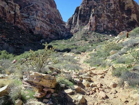 Pine Creek Trail