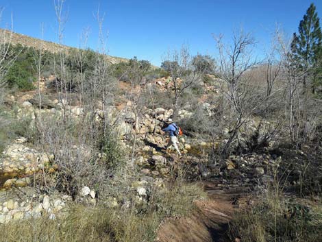 Pine Creek Trail