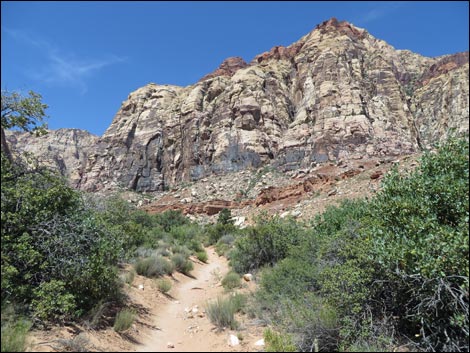 Pine Creek Trail