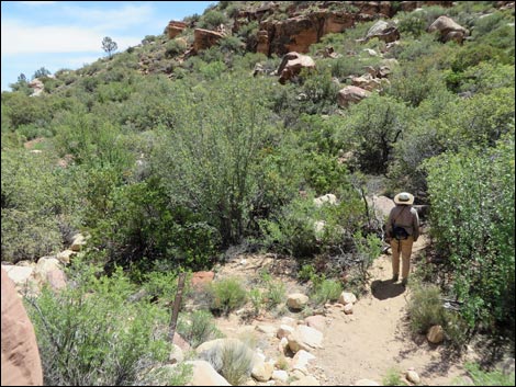 Pine Creek Trail