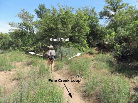 Pine Creek Trail