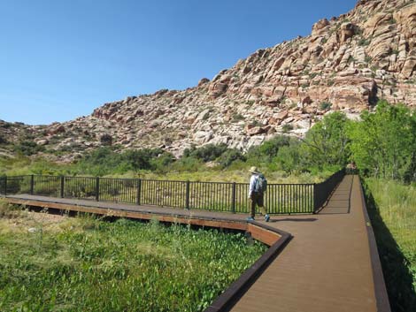 Red Spring Boardwalk